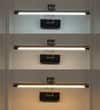 Rosalyn 3 Color LED Adjustable Swivel Picture Light