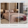 Stoa Paris Satin Bedsheet for Super King Bed (274 cm x 274 cm) with 2 Pillow Covers heet for Estate Champagne