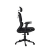 Merry Premium Ergonomic Office Chair High Back in Black Colour