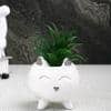 White 1 Pieces Succulent Artificial Plant With Pot