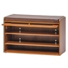 Rosso Shoe Cabinet in Teak Brown – Contemporary Shoe Organizer with Premium Wooden Finish