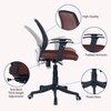 Xxeana Low Back Ergonomic Chair in Brown Colour