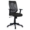 Zeeazyana Mid Back Ergonomic Chair in Black Colour