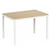 Holven 4 Seater Rectangular Dining Table European oak & white