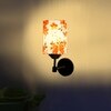 Devansh Metal Electric Wall Light in Black Colour with Multi Shade Count of 1 Light