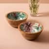Elysian Tropical Mango Wood Bowl Set Of 2
