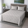 Timo White & Green Floral 400 TC Cotton Flat Queen Size Bedsheet with 2 Pillow Covers – Threads
