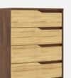 DCanape Ivy 5 Drawer Engineering Wood Utility Unit Columbian Walnut Brent Wood Teak