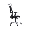 Align X Ergonomic High Back Office Chair in Black Colour