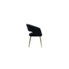 Ayatt Solid Wood Accent Chair in Black Colour