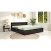 Kuruma Queen Bed Wenge