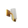 Harvey Single Light Wall Fitting in Brass Finish Metal with Frosted Glass Shade