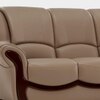 Blos 2 Seater Leatherette Sole in Mushroom Brown Colour