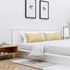 Hexa Engineered Wood Modern King Bed With Headboard Without Storage In Frosty White