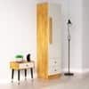 Hexa Red Wooden 1 Door Wardrobe with 2 Drawers Hanging Space in Giant Wood and Frosty White Color