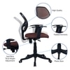 Jaazza Low Back Ergonomic Chair in Brown Colour
