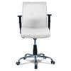Teaauras High Back Executive Chair in White Colour