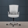 Regalia Mid Back Mesh Office Chair in Grey Colour