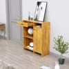 Hexa Red Multipurpose Storage Cabinet With 1 Drawer 1 Door in Giant Wood Colour