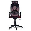 Zeeazyana High Back Ergonomic Chair in Maroon Colour