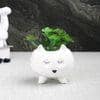 White 1 Pieces Succulent Artificial Plant With Pot