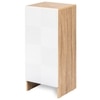 Trudo Modular Shoe Cabinet for 10 Pairs – Modern Space-Saving Shoe Storage Cabinet