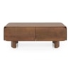 Olen Solid Wood Rectangular Storage Coffee Table In Amber Walnut Finish