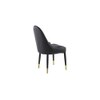 Danaja Accent Chair in Black Colour Set 2