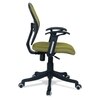 Aaeroa Low Back Ergonomic Chair in Pearl Green Colour
