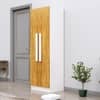 Hexa Red Wooden 2 Door Wardrobe with 4 Shelves in Frosty White and Giant Wood Colour