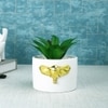White Elephant Ceramic Planter With Artificial Plant