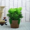 Artificial Fern Indoor Plant With Pot