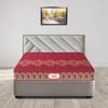 Day Dream with 36 YEARS OF TRUST 5 Inch Coir Foam Mattress Double-Sided PU Foam Quilt  Durable & Lightweight