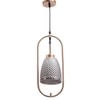 Eliante Hanging Light Smoky Black Mild Steel With Glass Shade, 1-Light Pendant Lamp