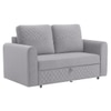Baruna 2 Seater Velvet Pull Out Sofa Cum Bed with Storage In Grey Color