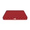 Resteria Bio Foam Coir Mattress