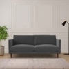 Tharoli Velvet 2 Seater Sofa in Grey Colour