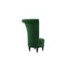 Piece High Back Accent Chair in Green Colour