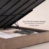 Ripple Fabric Queen  Size Bed With Hydraulic Storage (Coffee Oak Brown Finish, Tuscan Almond Colour)