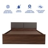 Lush Engineered Wood Queen  Size Bed With Box Storage (Walnut Finish)
