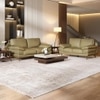 Europa 2 Seater Leatherette Sole in Light Green Colour