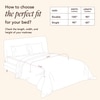 Stoa Paris Comforter Set Double Bed, 300TC Satin Double Bed Comforters in  Lilac