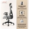 Imperia Ergonomic Study Chair in Grey Colour
