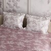 Stoa Paris Super King Size Cotton Bedsheet with 2 Pillow Covers  Size Ember Leaf Coral