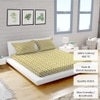 High Quality Cotton mix Double bed Fitted Bedsheets 198 cmsx 182 cms ( Pillows 46 x 49 cms)