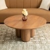 Buda Solid Wood Coffee Table in Brown Colour