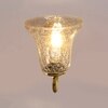 Devansh Metal Electric Wall Light in Gold Colour with Transparent Shade Count of 1 Light