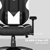 ASE Gaming Infinity Series Gaming Chair (white)