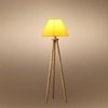 Devansh Tripod Floor Lamp