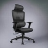 Imperia Ergonomic Study Chair in Black Colour